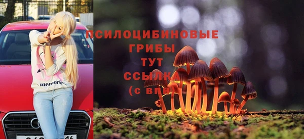 прущие крисы Зеленокумск
