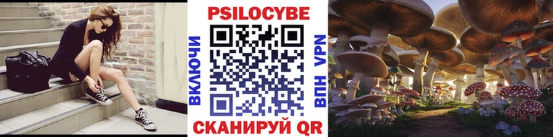 гидра зеркало  где купить наркоту  Иноземцево  Псилоцибиновые грибы GOLDEN TEACHER 